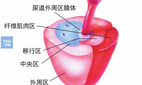 打达菲林后孩子乳房发育的特别大还下垂-九岁女孩打达菲林好吗,中国小孩性早熟打达菲林的副作用网站