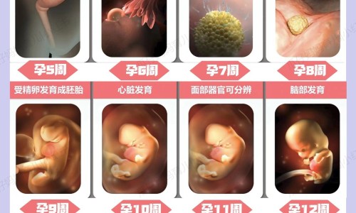 达菲林治疗性早熟一定在28内打针吗-打达菲林后孩子乳房发育的特别大还下垂-九岁女孩打达菲林好吗,中国小孩性早熟打达菲林的副作用网站