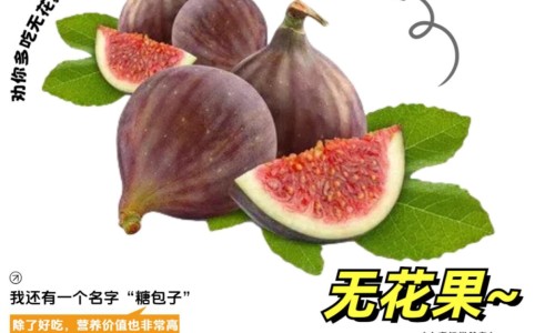 女孩注射达菲林会影响乳房发育吗-打达菲林后孩子乳房发育的特别大还下垂-九岁女孩打达菲林好吗,中国小孩性早熟打达菲林的副作用网站